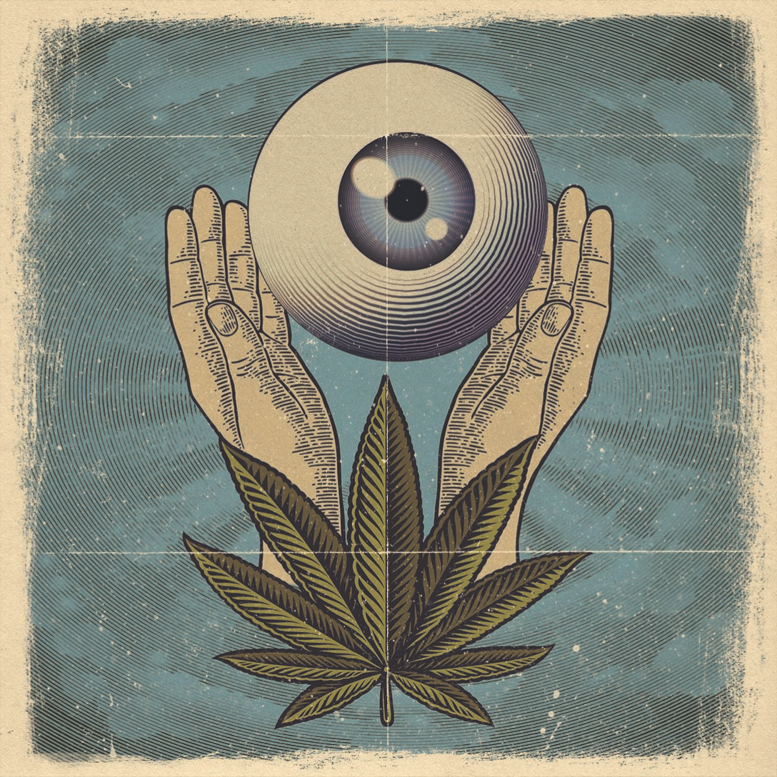 Xotic Labs Cannabis Website Design & Development