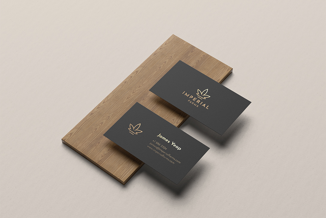 Xotic Labs - Personalized stationery for businesses and organizations